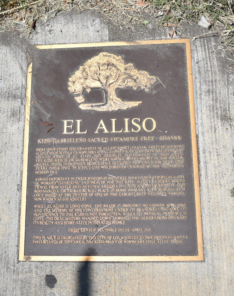 aliso plaque